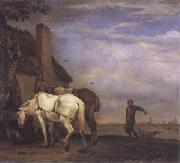 POTTER, Paulus, Two Drafthorses in Front of a Cottage (mk05)
